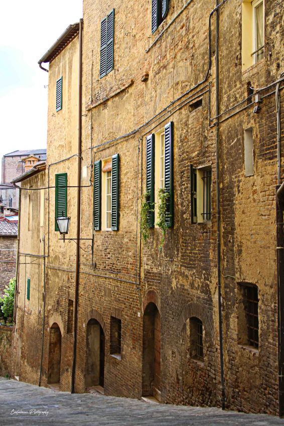 Facades in Siena, Italy (L)